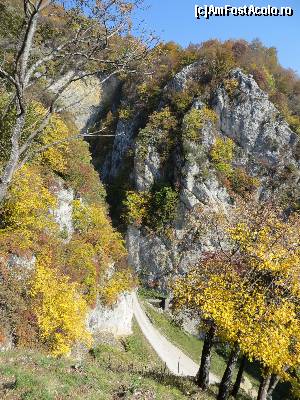 [P16] Peisaj de toamnă - intrare în Cheile Bistriţei oltene (imagine luată de pe cărarea ce duce la bisericile din Peştera Sf. Grigorie Decapolitul ori Peştera Liliecilor)  » foto by tata123 🔱
 - 
<span class="allrVoted glyphicon glyphicon-heart hidden" id="av502493"></span>
<a class="m-l-10 hidden" id="sv502493" onclick="voting_Foto_DelVot(,502493,12032)" role="button">șterge vot <span class="glyphicon glyphicon-remove"></span></a>
<a id="v9502493" class=" c-red"  onclick="voting_Foto_SetVot(502493)" role="button"><span class="glyphicon glyphicon-heart-empty"></span> <b>LIKE</b> = Votează poza</a> <img class="hidden"  id="f502493W9" src="/imagini/loader.gif" border="0" /><span class="AjErrMes hidden" id="e502493ErM"></span>