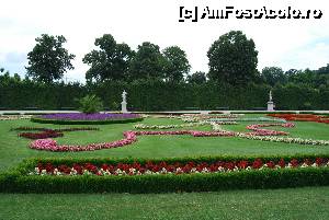[P15] Viena, grădinile Palatului Schonbrunn » foto by unq
 - 
<span class="allrVoted glyphicon glyphicon-heart hidden" id="av482295"></span>
<a class="m-l-10 hidden" id="sv482295" onclick="voting_Foto_DelVot(,482295,12039)" role="button">șterge vot <span class="glyphicon glyphicon-remove"></span></a>
<a id="v9482295" class=" c-red"  onclick="voting_Foto_SetVot(482295)" role="button"><span class="glyphicon glyphicon-heart-empty"></span> <b>LIKE</b> = Votează poza</a> <img class="hidden"  id="f482295W9" src="/imagini/loader.gif" border="0" /><span class="AjErrMes hidden" id="e482295ErM"></span>