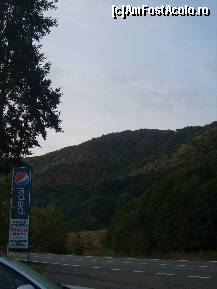 [P02] popas » foto by cristina85
 - 
<span class="allrVoted glyphicon glyphicon-heart hidden" id="av342795"></span>
<a class="m-l-10 hidden" id="sv342795" onclick="voting_Foto_DelVot(,342795,12050)" role="button">șterge vot <span class="glyphicon glyphicon-remove"></span></a>
<a id="v9342795" class=" c-red"  onclick="voting_Foto_SetVot(342795)" role="button"><span class="glyphicon glyphicon-heart-empty"></span> <b>LIKE</b> = Votează poza</a> <img class="hidden"  id="f342795W9" src="/imagini/loader.gif" border="0" /><span class="AjErrMes hidden" id="e342795ErM"></span>