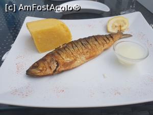 [P10] asta a fost porția soției » foto by robert
 - 
<span class="allrVoted glyphicon glyphicon-heart hidden" id="av879219"></span>
<a class="m-l-10 hidden" id="sv879219" onclick="voting_Foto_DelVot(,879219,12060)" role="button">șterge vot <span class="glyphicon glyphicon-remove"></span></a>
<a id="v9879219" class=" c-red"  onclick="voting_Foto_SetVot(879219)" role="button"><span class="glyphicon glyphicon-heart-empty"></span> <b>LIKE</b> = Votează poza</a> <img class="hidden"  id="f879219W9" src="/imagini/loader.gif" border="0" /><span class="AjErrMes hidden" id="e879219ErM"></span>