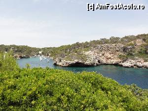 [P10]  -- <small>// FĂRĂ DESCRIERE</small> » foto by skumppika
 - 
<span class="allrVoted glyphicon glyphicon-heart hidden" id="av352822"></span>
<a class="m-l-10 hidden" id="sv352822" onclick="voting_Foto_DelVot(,352822,12083)" role="button">șterge vot <span class="glyphicon glyphicon-remove"></span></a>
<a id="v9352822" class=" c-red"  onclick="voting_Foto_SetVot(352822)" role="button"><span class="glyphicon glyphicon-heart-empty"></span> <b>LIKE</b> = Votează poza</a> <img class="hidden"  id="f352822W9" src="/imagini/loader.gif" border="0" /><span class="AjErrMes hidden" id="e352822ErM"></span>