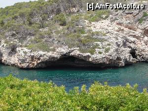 [P11]  -- <small>// FĂRĂ DESCRIERE</small> » foto by skumppika
 - 
<span class="allrVoted glyphicon glyphicon-heart hidden" id="av352823"></span>
<a class="m-l-10 hidden" id="sv352823" onclick="voting_Foto_DelVot(,352823,12083)" role="button">șterge vot <span class="glyphicon glyphicon-remove"></span></a>
<a id="v9352823" class=" c-red"  onclick="voting_Foto_SetVot(352823)" role="button"><span class="glyphicon glyphicon-heart-empty"></span> <b>LIKE</b> = Votează poza</a> <img class="hidden"  id="f352823W9" src="/imagini/loader.gif" border="0" /><span class="AjErrMes hidden" id="e352823ErM"></span>