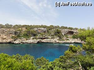 [P09]  -- <small>// FĂRĂ DESCRIERE</small> » foto by skumppika
 - 
<span class="allrVoted glyphicon glyphicon-heart hidden" id="av352821"></span>
<a class="m-l-10 hidden" id="sv352821" onclick="voting_Foto_DelVot(,352821,12083)" role="button">șterge vot <span class="glyphicon glyphicon-remove"></span></a>
<a id="v9352821" class=" c-red"  onclick="voting_Foto_SetVot(352821)" role="button"><span class="glyphicon glyphicon-heart-empty"></span> <b>LIKE</b> = Votează poza</a> <img class="hidden"  id="f352821W9" src="/imagini/loader.gif" border="0" /><span class="AjErrMes hidden" id="e352821ErM"></span>