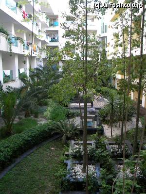 [P34] mini-gradina din interiorul cladirii principale » foto by silvia tudoran
 - 
<span class="allrVoted glyphicon glyphicon-heart hidden" id="av345698"></span>
<a class="m-l-10 hidden" id="sv345698" onclick="voting_Foto_DelVot(,345698,12093)" role="button">șterge vot <span class="glyphicon glyphicon-remove"></span></a>
<a id="v9345698" class=" c-red"  onclick="voting_Foto_SetVot(345698)" role="button"><span class="glyphicon glyphicon-heart-empty"></span> <b>LIKE</b> = Votează poza</a> <img class="hidden"  id="f345698W9" src="/imagini/loader.gif" border="0" /><span class="AjErrMes hidden" id="e345698ErM"></span>
