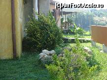 [P02] Hotel Colosseo, Sandanski - aranjamente florale de gradina in curtea hotelului » foto by biancuta
 - 
<span class="allrVoted glyphicon glyphicon-heart hidden" id="av345037"></span>
<a class="m-l-10 hidden" id="sv345037" onclick="voting_Foto_DelVot(,345037,12109)" role="button">șterge vot <span class="glyphicon glyphicon-remove"></span></a>
<a id="v9345037" class=" c-red"  onclick="voting_Foto_SetVot(345037)" role="button"><span class="glyphicon glyphicon-heart-empty"></span> <b>LIKE</b> = Votează poza</a> <img class="hidden"  id="f345037W9" src="/imagini/loader.gif" border="0" /><span class="AjErrMes hidden" id="e345037ErM"></span>
