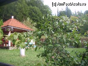 [P04] Pensiunea Ghiocelul - Borsec, foişorul şi zona verde » foto by krondia*
 - 
<span class="allrVoted glyphicon glyphicon-heart hidden" id="av377538"></span>
<a class="m-l-10 hidden" id="sv377538" onclick="voting_Foto_DelVot(,377538,12119)" role="button">șterge vot <span class="glyphicon glyphicon-remove"></span></a>
<a id="v9377538" class=" c-red"  onclick="voting_Foto_SetVot(377538)" role="button"><span class="glyphicon glyphicon-heart-empty"></span> <b>LIKE</b> = Votează poza</a> <img class="hidden"  id="f377538W9" src="/imagini/loader.gif" border="0" /><span class="AjErrMes hidden" id="e377538ErM"></span>