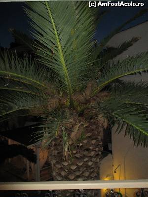 [P01] Vedere nocturna din balcon :)  » foto by Ahile31
 - 
<span class="allrVoted glyphicon glyphicon-heart hidden" id="av536944"></span>
<a class="m-l-10 hidden" id="sv536944" onclick="voting_Foto_DelVot(,536944,12121)" role="button">șterge vot <span class="glyphicon glyphicon-remove"></span></a>
<a id="v9536944" class=" c-red"  onclick="voting_Foto_SetVot(536944)" role="button"><span class="glyphicon glyphicon-heart-empty"></span> <b>LIKE</b> = Votează poza</a> <img class="hidden"  id="f536944W9" src="/imagini/loader.gif" border="0" /><span class="AjErrMes hidden" id="e536944ErM"></span>