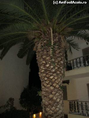 [P02]  -- <small>// FĂRĂ DESCRIERE</small> » foto by Ahile31
 - 
<span class="allrVoted glyphicon glyphicon-heart hidden" id="av536945"></span>
<a class="m-l-10 hidden" id="sv536945" onclick="voting_Foto_DelVot(,536945,12121)" role="button">șterge vot <span class="glyphicon glyphicon-remove"></span></a>
<a id="v9536945" class=" c-red"  onclick="voting_Foto_SetVot(536945)" role="button"><span class="glyphicon glyphicon-heart-empty"></span> <b>LIKE</b> = Votează poza</a> <img class="hidden"  id="f536945W9" src="/imagini/loader.gif" border="0" /><span class="AjErrMes hidden" id="e536945ErM"></span>