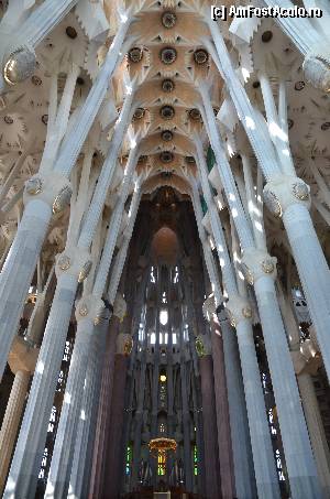 [P62] Sagrada Familia, Naosul » foto by Muffin2009*
 - 
<span class="allrVoted glyphicon glyphicon-heart hidden" id="av352246"></span>
<a class="m-l-10 hidden" id="sv352246" onclick="voting_Foto_DelVot(,352246,12198)" role="button">șterge vot <span class="glyphicon glyphicon-remove"></span></a>
<a id="v9352246" class=" c-red"  onclick="voting_Foto_SetVot(352246)" role="button"><span class="glyphicon glyphicon-heart-empty"></span> <b>LIKE</b> = Votează poza</a> <img class="hidden"  id="f352246W9" src="/imagini/loader.gif" border="0" /><span class="AjErrMes hidden" id="e352246ErM"></span>