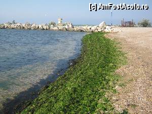 [P12] Groazniiicccc!!! Incredibil, ultima oara am vazut asa malul Marii Negre in anul 2005, la Eforie Nord! Dupa care malul bulgaresc ne-a oferit an de an o plaja frumoasa, placuta si bine intretinuta! Nu imi venea sa cred!!!  » foto by FanSejur
 - 
<span class="allrVoted glyphicon glyphicon-heart hidden" id="av347744"></span>
<a class="m-l-10 hidden" id="sv347744" onclick="voting_Foto_DelVot(,347744,12206)" role="button">șterge vot <span class="glyphicon glyphicon-remove"></span></a>
<a id="v9347744" class=" c-red"  onclick="voting_Foto_SetVot(347744)" role="button"><span class="glyphicon glyphicon-heart-empty"></span> <b>LIKE</b> = Votează poza</a> <img class="hidden"  id="f347744W9" src="/imagini/loader.gif" border="0" /><span class="AjErrMes hidden" id="e347744ErM"></span>