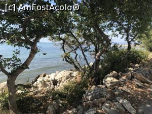 [P10] Marea vazuta de pe faleza » foto by adynutza26
 - 
<span class="allrVoted glyphicon glyphicon-heart hidden" id="av1183187"></span>
<a class="m-l-10 hidden" id="sv1183187" onclick="voting_Foto_DelVot(,1183187,12206)" role="button">șterge vot <span class="glyphicon glyphicon-remove"></span></a>
<a id="v91183187" class=" c-red"  onclick="voting_Foto_SetVot(1183187)" role="button"><span class="glyphicon glyphicon-heart-empty"></span> <b>LIKE</b> = Votează poza</a> <img class="hidden"  id="f1183187W9" src="/imagini/loader.gif" border="0" /><span class="AjErrMes hidden" id="e1183187ErM"></span>