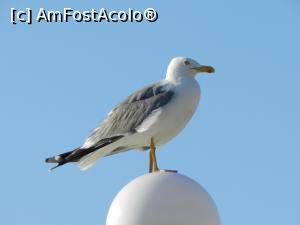 [P04]  -- <small>// FĂRĂ DESCRIERE</small> » foto by Gheorghe_M*
 - 
<span class="allrVoted glyphicon glyphicon-heart hidden" id="av896756"></span>
<a class="m-l-10 hidden" id="sv896756" onclick="voting_Foto_DelVot(,896756,12206)" role="button">șterge vot <span class="glyphicon glyphicon-remove"></span></a>
<a id="v9896756" class=" c-red"  onclick="voting_Foto_SetVot(896756)" role="button"><span class="glyphicon glyphicon-heart-empty"></span> <b>LIKE</b> = Votează poza</a> <img class="hidden"  id="f896756W9" src="/imagini/loader.gif" border="0" /><span class="AjErrMes hidden" id="e896756ErM"></span>