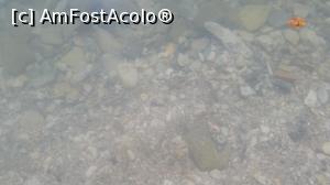 [P02] Intrarea in mare.  » foto by ninaa
 - 
<span class="allrVoted glyphicon glyphicon-heart hidden" id="av936917"></span>
<a class="m-l-10 hidden" id="sv936917" onclick="voting_Foto_DelVot(,936917,12206)" role="button">șterge vot <span class="glyphicon glyphicon-remove"></span></a>
<a id="v9936917" class=" c-red"  onclick="voting_Foto_SetVot(936917)" role="button"><span class="glyphicon glyphicon-heart-empty"></span> <b>LIKE</b> = Votează poza</a> <img class="hidden"  id="f936917W9" src="/imagini/loader.gif" border="0" /><span class="AjErrMes hidden" id="e936917ErM"></span>