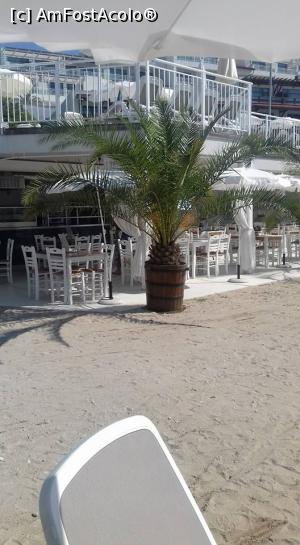 [P02] Restaurantul de pe plaje » foto by mari1
 - 
<span class="allrVoted glyphicon glyphicon-heart hidden" id="av886460"></span>
<a class="m-l-10 hidden" id="sv886460" onclick="voting_Foto_DelVot(,886460,12206)" role="button">șterge vot <span class="glyphicon glyphicon-remove"></span></a>
<a id="v9886460" class=" c-red"  onclick="voting_Foto_SetVot(886460)" role="button"><span class="glyphicon glyphicon-heart-empty"></span> <b>LIKE</b> = Votează poza</a> <img class="hidden"  id="f886460W9" src="/imagini/loader.gif" border="0" /><span class="AjErrMes hidden" id="e886460ErM"></span>