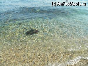 [P02] Vila Kostas - intrarea in apa cu pietre mari » foto by Dabator
 - 
<span class="allrVoted glyphicon glyphicon-heart hidden" id="av349563"></span>
<a class="m-l-10 hidden" id="sv349563" onclick="voting_Foto_DelVot(,349563,12263)" role="button">șterge vot <span class="glyphicon glyphicon-remove"></span></a>
<a id="v9349563" class=" c-red"  onclick="voting_Foto_SetVot(349563)" role="button"><span class="glyphicon glyphicon-heart-empty"></span> <b>LIKE</b> = Votează poza</a> <img class="hidden"  id="f349563W9" src="/imagini/loader.gif" border="0" /><span class="AjErrMes hidden" id="e349563ErM"></span>