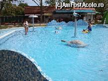 [P17] Ştrandul - Termalliget - Berettyoujfalu: piscina pentru cei mici. Vedeţi animăluţele în apă.  » foto by creivean
 - 
<span class="allrVoted glyphicon glyphicon-heart hidden" id="av425887"></span>
<a class="m-l-10 hidden" id="sv425887" onclick="voting_Foto_DelVot(,425887,12268)" role="button">șterge vot <span class="glyphicon glyphicon-remove"></span></a>
<a id="v9425887" class=" c-red"  onclick="voting_Foto_SetVot(425887)" role="button"><span class="glyphicon glyphicon-heart-empty"></span> <b>LIKE</b> = Votează poza</a> <img class="hidden"  id="f425887W9" src="/imagini/loader.gif" border="0" /><span class="AjErrMes hidden" id="e425887ErM"></span>