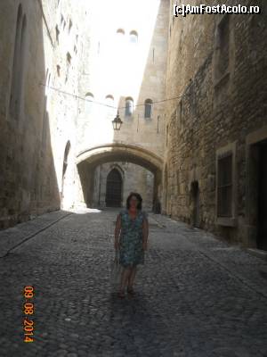 [P04] Narbonne centrul vechi » foto by ileanarosu68
 - 
<span class="allrVoted glyphicon glyphicon-heart hidden" id="av631996"></span>
<a class="m-l-10 hidden" id="sv631996" onclick="voting_Foto_DelVot(,631996,12274)" role="button">șterge vot <span class="glyphicon glyphicon-remove"></span></a>
<a id="v9631996" class=" c-red"  onclick="voting_Foto_SetVot(631996)" role="button"><span class="glyphicon glyphicon-heart-empty"></span> <b>LIKE</b> = Votează poza</a> <img class="hidden"  id="f631996W9" src="/imagini/loader.gif" border="0" /><span class="AjErrMes hidden" id="e631996ErM"></span>