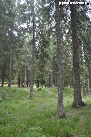 [P06]  -- <small>// FĂRĂ DESCRIERE</small> » foto by raly
 - 
<span class="allrVoted glyphicon glyphicon-heart hidden" id="av667124"></span>
<a class="m-l-10 hidden" id="sv667124" onclick="voting_Foto_DelVot(,667124,12291)" role="button">șterge vot <span class="glyphicon glyphicon-remove"></span></a>
<a id="v9667124" class=" c-red"  onclick="voting_Foto_SetVot(667124)" role="button"><span class="glyphicon glyphicon-heart-empty"></span> <b>LIKE</b> = Votează poza</a> <img class="hidden"  id="f667124W9" src="/imagini/loader.gif" border="0" /><span class="AjErrMes hidden" id="e667124ErM"></span>