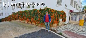 [P79] Flori, multe flori » foto by irinad
 - 
<span class="allrVoted glyphicon glyphicon-heart hidden" id="av1518012"></span>
<a class="m-l-10 hidden" id="sv1518012" onclick="voting_Foto_DelVot(,1518012,12323)" role="button">șterge vot <span class="glyphicon glyphicon-remove"></span></a>
<a id="v91518012" class=" c-red"  onclick="voting_Foto_SetVot(1518012)" role="button"><span class="glyphicon glyphicon-heart-empty"></span> <b>LIKE</b> = Votează poza</a> <img class="hidden"  id="f1518012W9" src="/imagini/loader.gif" border="0" /><span class="AjErrMes hidden" id="e1518012ErM"></span>