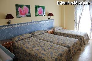 [P12] decorarea peretilor in stil andaluz » foto by noriega
 - 
<span class="allrVoted glyphicon glyphicon-heart hidden" id="av351402"></span>
<a class="m-l-10 hidden" id="sv351402" onclick="voting_Foto_DelVot(,351402,12330)" role="button">șterge vot <span class="glyphicon glyphicon-remove"></span></a>
<a id="v9351402" class=" c-red"  onclick="voting_Foto_SetVot(351402)" role="button"><span class="glyphicon glyphicon-heart-empty"></span> <b>LIKE</b> = Votează poza</a> <img class="hidden"  id="f351402W9" src="/imagini/loader.gif" border="0" /><span class="AjErrMes hidden" id="e351402ErM"></span>