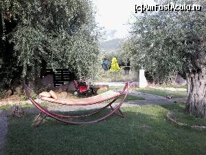 [P05] dupa-amiaza poti alege sa motai la umbra maslinilor pe hamac » foto by raducondurache
 - 
<span class="allrVoted glyphicon glyphicon-heart hidden" id="av541955"></span>
<a class="m-l-10 hidden" id="sv541955" onclick="voting_Foto_DelVot(,541955,12353)" role="button">șterge vot <span class="glyphicon glyphicon-remove"></span></a>
<a id="v9541955" class=" c-red"  onclick="voting_Foto_SetVot(541955)" role="button"><span class="glyphicon glyphicon-heart-empty"></span> <b>LIKE</b> = Votează poza</a> <img class="hidden"  id="f541955W9" src="/imagini/loader.gif" border="0" /><span class="AjErrMes hidden" id="e541955ErM"></span>
