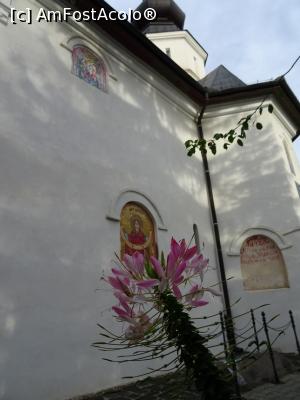 [P08] Biserica veche - Peretele sudic.  » foto by tata123 🔱
 - 
<span class="allrVoted glyphicon glyphicon-heart hidden" id="av1132967"></span>
<a class="m-l-10 hidden" id="sv1132967" onclick="voting_Foto_DelVot(,1132967,12357)" role="button">șterge vot <span class="glyphicon glyphicon-remove"></span></a>
<a id="v91132967" class=" c-red"  onclick="voting_Foto_SetVot(1132967)" role="button"><span class="glyphicon glyphicon-heart-empty"></span> <b>LIKE</b> = Votează poza</a> <img class="hidden"  id="f1132967W9" src="/imagini/loader.gif" border="0" /><span class="AjErrMes hidden" id="e1132967ErM"></span>