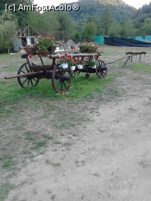[P31] In gradina » foto by mmierla
 - 
<span class="allrVoted glyphicon glyphicon-heart hidden" id="av903148"></span>
<a class="m-l-10 hidden" id="sv903148" onclick="voting_Foto_DelVot(,903148,12365)" role="button">șterge vot <span class="glyphicon glyphicon-remove"></span></a>
<a id="v9903148" class=" c-red"  onclick="voting_Foto_SetVot(903148)" role="button"><span class="glyphicon glyphicon-heart-empty"></span> <b>LIKE</b> = Votează poza</a> <img class="hidden"  id="f903148W9" src="/imagini/loader.gif" border="0" /><span class="AjErrMes hidden" id="e903148ErM"></span>