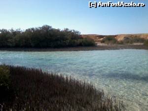 [P12] Mangrove la Ras Mohamed » foto by Swan1
 - 
<span class="allrVoted glyphicon glyphicon-heart hidden" id="av592535"></span>
<a class="m-l-10 hidden" id="sv592535" onclick="voting_Foto_DelVot(,592535,12386)" role="button">șterge vot <span class="glyphicon glyphicon-remove"></span></a>
<a id="v9592535" class=" c-red"  onclick="voting_Foto_SetVot(592535)" role="button"><span class="glyphicon glyphicon-heart-empty"></span> <b>LIKE</b> = Votează poza</a> <img class="hidden"  id="f592535W9" src="/imagini/loader.gif" border="0" /><span class="AjErrMes hidden" id="e592535ErM"></span>