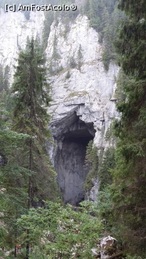 [P12] uriasul portal de piatra, intrare spre dolina 1, circuitul Cetatile Ponorului » foto by raducondurache
 - 
<span class="allrVoted glyphicon glyphicon-heart hidden" id="av891472"></span>
<a class="m-l-10 hidden" id="sv891472" onclick="voting_Foto_DelVot(,891472,12399)" role="button">șterge vot <span class="glyphicon glyphicon-remove"></span></a>
<a id="v9891472" class=" c-red"  onclick="voting_Foto_SetVot(891472)" role="button"><span class="glyphicon glyphicon-heart-empty"></span> <b>LIKE</b> = Votează poza</a> <img class="hidden"  id="f891472W9" src="/imagini/loader.gif" border="0" /><span class="AjErrMes hidden" id="e891472ErM"></span>