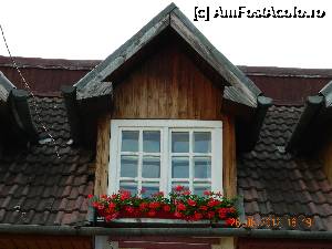 [P02]  -- <small>// FĂRĂ DESCRIERE</small> » foto by Paty
 - 
<span class="allrVoted glyphicon glyphicon-heart hidden" id="av354362"></span>
<a class="m-l-10 hidden" id="sv354362" onclick="voting_Foto_DelVot(,354362,12450)" role="button">șterge vot <span class="glyphicon glyphicon-remove"></span></a>
<a id="v9354362" class=" c-red"  onclick="voting_Foto_SetVot(354362)" role="button"><span class="glyphicon glyphicon-heart-empty"></span> <b>LIKE</b> = Votează poza</a> <img class="hidden"  id="f354362W9" src="/imagini/loader.gif" border="0" /><span class="AjErrMes hidden" id="e354362ErM"></span>