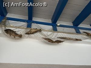 [P23]  -- <small>// FĂRĂ DESCRIERE</small> » foto by raluca banu
 - 
<span class="allrVoted glyphicon glyphicon-heart hidden" id="av1514280"></span>
<a class="m-l-10 hidden" id="sv1514280" onclick="voting_Foto_DelVot(,1514280,12455)" role="button">șterge vot <span class="glyphicon glyphicon-remove"></span></a>
<a id="v91514280" class=" c-red"  onclick="voting_Foto_SetVot(1514280)" role="button"><span class="glyphicon glyphicon-heart-empty"></span> <b>LIKE</b> = Votează poza</a> <img class="hidden"  id="f1514280W9" src="/imagini/loader.gif" border="0" /><span class="AjErrMes hidden" id="e1514280ErM"></span>