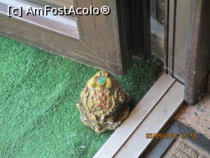 [P30] Paznicul hotelului, broscuta.  » foto by elviramvio
 - 
<span class="allrVoted glyphicon glyphicon-heart hidden" id="av792233"></span>
<a class="m-l-10 hidden" id="sv792233" onclick="voting_Foto_DelVot(,792233,12482)" role="button">șterge vot <span class="glyphicon glyphicon-remove"></span></a>
<a id="v9792233" class=" c-red"  onclick="voting_Foto_SetVot(792233)" role="button"><span class="glyphicon glyphicon-heart-empty"></span> <b>LIKE</b> = Votează poza</a> <img class="hidden"  id="f792233W9" src="/imagini/loader.gif" border="0" /><span class="AjErrMes hidden" id="e792233ErM"></span>