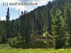 [P14] Poiana Zanelor » foto by cata2106
 - 
<span class="allrVoted glyphicon glyphicon-heart hidden" id="av1169222"></span>
<a class="m-l-10 hidden" id="sv1169222" onclick="voting_Foto_DelVot(,1169222,12551)" role="button">șterge vot <span class="glyphicon glyphicon-remove"></span></a>
<a id="v91169222" class=" c-red"  onclick="voting_Foto_SetVot(1169222)" role="button"><span class="glyphicon glyphicon-heart-empty"></span> <b>LIKE</b> = Votează poza</a> <img class="hidden"  id="f1169222W9" src="/imagini/loader.gif" border="0" /><span class="AjErrMes hidden" id="e1169222ErM"></span>