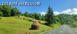 [P01] Pe DJ 173D spre lacul Colibița - o șosea asfaltată recent. » foto by tata123 🔱
 - 
<span class="allrVoted glyphicon glyphicon-heart hidden" id="av1386862"></span>
<a class="m-l-10 hidden" id="sv1386862" onclick="voting_Foto_DelVot(,1386862,12551)" role="button">șterge vot <span class="glyphicon glyphicon-remove"></span></a>
<a id="v91386862" class=" c-red"  onclick="voting_Foto_SetVot(1386862)" role="button"><span class="glyphicon glyphicon-heart-empty"></span> <b>LIKE</b> = Votează poza</a> <img class="hidden"  id="f1386862W9" src="/imagini/loader.gif" border="0" /><span class="AjErrMes hidden" id="e1386862ErM"></span>