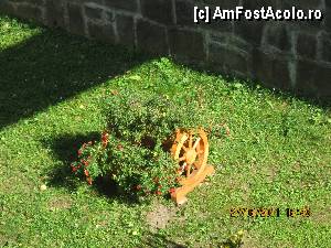 [P01]  -- <small>// FĂRĂ DESCRIERE</small> » foto by crismcl313
 - 
<span class="allrVoted glyphicon glyphicon-heart hidden" id="av357936"></span>
<a class="m-l-10 hidden" id="sv357936" onclick="voting_Foto_DelVot(,357936,12557)" role="button">șterge vot <span class="glyphicon glyphicon-remove"></span></a>
<a id="v9357936" class=" c-red"  onclick="voting_Foto_SetVot(357936)" role="button"><span class="glyphicon glyphicon-heart-empty"></span> <b>LIKE</b> = Votează poza</a> <img class="hidden"  id="f357936W9" src="/imagini/loader.gif" border="0" /><span class="AjErrMes hidden" id="e357936ErM"></span>