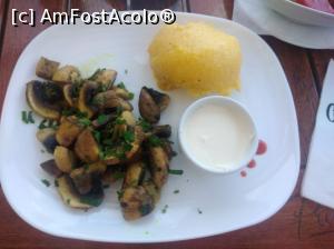 [P13] Terasa Cocktail, Eforie Sud » foto by Mioritik
 - 
<span class="allrVoted glyphicon glyphicon-heart hidden" id="av1365478"></span>
<a class="m-l-10 hidden" id="sv1365478" onclick="voting_Foto_DelVot(,1365478,12565)" role="button">șterge vot <span class="glyphicon glyphicon-remove"></span></a>
<a id="v91365478" class=" c-red"  onclick="voting_Foto_SetVot(1365478)" role="button"><span class="glyphicon glyphicon-heart-empty"></span> <b>LIKE</b> = Votează poza</a> <img class="hidden"  id="f1365478W9" src="/imagini/loader.gif" border="0" /><span class="AjErrMes hidden" id="e1365478ErM"></span>