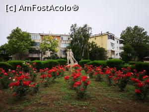 [P57] La plimbare prin Eforie Sud (cu dedicație pentru amicul @zapacitu) » foto by crismis
 - 
<span class="allrVoted glyphicon glyphicon-heart hidden" id="av1314213"></span>
<a class="m-l-10 hidden" id="sv1314213" onclick="voting_Foto_DelVot(,1314213,12565)" role="button">șterge vot <span class="glyphicon glyphicon-remove"></span></a>
<a id="v91314213" class=" c-red"  onclick="voting_Foto_SetVot(1314213)" role="button"><span class="glyphicon glyphicon-heart-empty"></span> <b>LIKE</b> = Votează poza</a> <img class="hidden"  id="f1314213W9" src="/imagini/loader.gif" border="0" /><span class="AjErrMes hidden" id="e1314213ErM"></span>