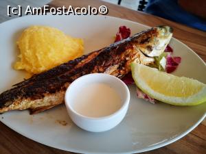 [P83] Restaurant Poarta Apelor » foto by crismis
 - 
<span class="allrVoted glyphicon glyphicon-heart hidden" id="av1314239"></span>
<a class="m-l-10 hidden" id="sv1314239" onclick="voting_Foto_DelVot(,1314239,12565)" role="button">șterge vot <span class="glyphicon glyphicon-remove"></span></a>
<a id="v91314239" class=" c-red"  onclick="voting_Foto_SetVot(1314239)" role="button"><span class="glyphicon glyphicon-heart-empty"></span> <b>LIKE</b> = Votează poza</a> <img class="hidden"  id="f1314239W9" src="/imagini/loader.gif" border="0" /><span class="AjErrMes hidden" id="e1314239ErM"></span>