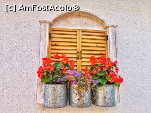 [P09] Câteva floricele » foto by krisstinna
 - 
<span class="allrVoted glyphicon glyphicon-heart hidden" id="av1175475"></span>
<a class="m-l-10 hidden" id="sv1175475" onclick="voting_Foto_DelVot(,1175475,12565)" role="button">șterge vot <span class="glyphicon glyphicon-remove"></span></a>
<a id="v91175475" class=" c-red"  onclick="voting_Foto_SetVot(1175475)" role="button"><span class="glyphicon glyphicon-heart-empty"></span> <b>LIKE</b> = Votează poza</a> <img class="hidden"  id="f1175475W9" src="/imagini/loader.gif" border="0" /><span class="AjErrMes hidden" id="e1175475ErM"></span>