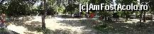 [P15]  -- <small>// FĂRĂ DESCRIERE</small> » foto by Pripiatka
 - 
<span class="allrVoted glyphicon glyphicon-heart hidden" id="av492490"></span>
<a class="m-l-10 hidden" id="sv492490" onclick="voting_Foto_DelVot(,492490,12619)" role="button">șterge vot <span class="glyphicon glyphicon-remove"></span></a>
<a id="v9492490" class=" c-red"  onclick="voting_Foto_SetVot(492490)" role="button"><span class="glyphicon glyphicon-heart-empty"></span> <b>LIKE</b> = Votează poza</a> <img class="hidden"  id="f492490W9" src="/imagini/loader.gif" border="0" /><span class="AjErrMes hidden" id="e492490ErM"></span>