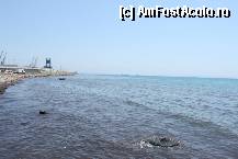 [P29] plaja Durres - la margine apa are culoarea maronie, din cauza rocilor tarmului presupun » foto by cristi_an3000
 - 
<span class="allrVoted glyphicon glyphicon-heart hidden" id="av336666"></span>
<a class="m-l-10 hidden" id="sv336666" onclick="voting_Foto_DelVot(,336666,12619)" role="button">șterge vot <span class="glyphicon glyphicon-remove"></span></a>
<a id="v9336666" class=" c-red"  onclick="voting_Foto_SetVot(336666)" role="button"><span class="glyphicon glyphicon-heart-empty"></span> <b>LIKE</b> = Votează poza</a> <img class="hidden"  id="f336666W9" src="/imagini/loader.gif" border="0" /><span class="AjErrMes hidden" id="e336666ErM"></span>