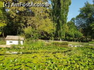 [P04] Craiova - Parcul Romanescu » foto by sunflower
 - 
<span class="allrVoted glyphicon glyphicon-heart hidden" id="av998693"></span>
<a class="m-l-10 hidden" id="sv998693" onclick="voting_Foto_DelVot(,998693,12619)" role="button">șterge vot <span class="glyphicon glyphicon-remove"></span></a>
<a id="v9998693" class=" c-red"  onclick="voting_Foto_SetVot(998693)" role="button"><span class="glyphicon glyphicon-heart-empty"></span> <b>LIKE</b> = Votează poza</a> <img class="hidden"  id="f998693W9" src="/imagini/loader.gif" border="0" /><span class="AjErrMes hidden" id="e998693ErM"></span>