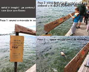 [P13] arunci o moneda, iti spui o dorinta... clasic.  » foto by marijuan
 - 
<span class="allrVoted glyphicon glyphicon-heart hidden" id="av533349"></span>
<a class="m-l-10 hidden" id="sv533349" onclick="voting_Foto_DelVot(,533349,12619)" role="button">șterge vot <span class="glyphicon glyphicon-remove"></span></a>
<a id="v9533349" class=" c-red"  onclick="voting_Foto_SetVot(533349)" role="button"><span class="glyphicon glyphicon-heart-empty"></span> <b>LIKE</b> = Votează poza</a> <img class="hidden"  id="f533349W9" src="/imagini/loader.gif" border="0" /><span class="AjErrMes hidden" id="e533349ErM"></span>