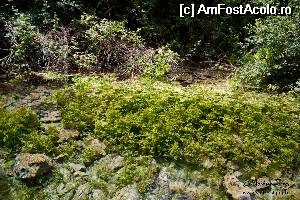 [P29] izvoarele lacului Ohrid; sunt curios daca va dati seama unde e apa si unde e malul.  » foto by marijuan
 - 
<span class="allrVoted glyphicon glyphicon-heart hidden" id="av533365"></span>
<a class="m-l-10 hidden" id="sv533365" onclick="voting_Foto_DelVot(,533365,12619)" role="button">șterge vot <span class="glyphicon glyphicon-remove"></span></a>
<a id="v9533365" class=" c-red"  onclick="voting_Foto_SetVot(533365)" role="button"><span class="glyphicon glyphicon-heart-empty"></span> <b>LIKE</b> = Votează poza</a> <img class="hidden"  id="f533365W9" src="/imagini/loader.gif" border="0" /><span class="AjErrMes hidden" id="e533365ErM"></span>