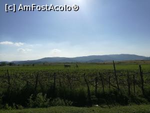 [P25] La arat în Albania montană » foto by crismis
 - 
<span class="allrVoted glyphicon glyphicon-heart hidden" id="av877656"></span>
<a class="m-l-10 hidden" id="sv877656" onclick="voting_Foto_DelVot(,877656,12619)" role="button">șterge vot <span class="glyphicon glyphicon-remove"></span></a>
<a id="v9877656" class=" c-red"  onclick="voting_Foto_SetVot(877656)" role="button"><span class="glyphicon glyphicon-heart-empty"></span> <b>LIKE</b> = Votează poza</a> <img class="hidden"  id="f877656W9" src="/imagini/loader.gif" border="0" /><span class="AjErrMes hidden" id="e877656ErM"></span>