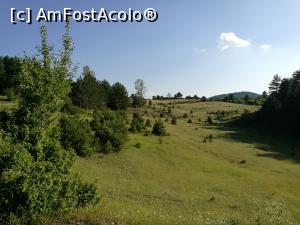 [P28] Drumuri de munte în Albania » foto by crismis
 - 
<span class="allrVoted glyphicon glyphicon-heart hidden" id="av877659"></span>
<a class="m-l-10 hidden" id="sv877659" onclick="voting_Foto_DelVot(,877659,12619)" role="button">șterge vot <span class="glyphicon glyphicon-remove"></span></a>
<a id="v9877659" class=" c-red"  onclick="voting_Foto_SetVot(877659)" role="button"><span class="glyphicon glyphicon-heart-empty"></span> <b>LIKE</b> = Votează poza</a> <img class="hidden"  id="f877659W9" src="/imagini/loader.gif" border="0" /><span class="AjErrMes hidden" id="e877659ErM"></span>