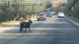 [P27] ... suntem atenți și la ceilați participanți la trafic,  » foto by marnicpop
 - 
<span class="allrVoted glyphicon glyphicon-heart hidden" id="av906297"></span>
<a class="m-l-10 hidden" id="sv906297" onclick="voting_Foto_DelVot(,906297,12619)" role="button">șterge vot <span class="glyphicon glyphicon-remove"></span></a>
<a id="v9906297" class=" c-red"  onclick="voting_Foto_SetVot(906297)" role="button"><span class="glyphicon glyphicon-heart-empty"></span> <b>LIKE</b> = Votează poza</a> <img class="hidden"  id="f906297W9" src="/imagini/loader.gif" border="0" /><span class="AjErrMes hidden" id="e906297ErM"></span>