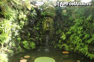 [P05] La Mortella Gardens » foto by chucky31*
 - 
<span class="allrVoted glyphicon glyphicon-heart hidden" id="av397448"></span>
<a class="m-l-10 hidden" id="sv397448" onclick="voting_Foto_DelVot(,397448,12624)" role="button">șterge vot <span class="glyphicon glyphicon-remove"></span></a>
<a id="v9397448" class=" c-red"  onclick="voting_Foto_SetVot(397448)" role="button"><span class="glyphicon glyphicon-heart-empty"></span> <b>LIKE</b> = Votează poza</a> <img class="hidden"  id="f397448W9" src="/imagini/loader.gif" border="0" /><span class="AjErrMes hidden" id="e397448ErM"></span>