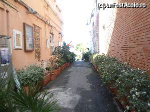 [P21] strada din Ischia » foto by amero
 - 
<span class="allrVoted glyphicon glyphicon-heart hidden" id="av572743"></span>
<a class="m-l-10 hidden" id="sv572743" onclick="voting_Foto_DelVot(,572743,12624)" role="button">șterge vot <span class="glyphicon glyphicon-remove"></span></a>
<a id="v9572743" class=" c-red"  onclick="voting_Foto_SetVot(572743)" role="button"><span class="glyphicon glyphicon-heart-empty"></span> <b>LIKE</b> = Votează poza</a> <img class="hidden"  id="f572743W9" src="/imagini/loader.gif" border="0" /><span class="AjErrMes hidden" id="e572743ErM"></span>