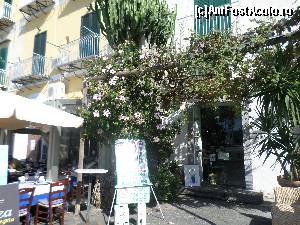 [P29] si in Ischia precum pe intreaga coasta Amalfi sunt fabrici de lichioruri » foto by amero
 - 
<span class="allrVoted glyphicon glyphicon-heart hidden" id="av572751"></span>
<a class="m-l-10 hidden" id="sv572751" onclick="voting_Foto_DelVot(,572751,12624)" role="button">șterge vot <span class="glyphicon glyphicon-remove"></span></a>
<a id="v9572751" class=" c-red"  onclick="voting_Foto_SetVot(572751)" role="button"><span class="glyphicon glyphicon-heart-empty"></span> <b>LIKE</b> = Votează poza</a> <img class="hidden"  id="f572751W9" src="/imagini/loader.gif" border="0" /><span class="AjErrMes hidden" id="e572751ErM"></span>